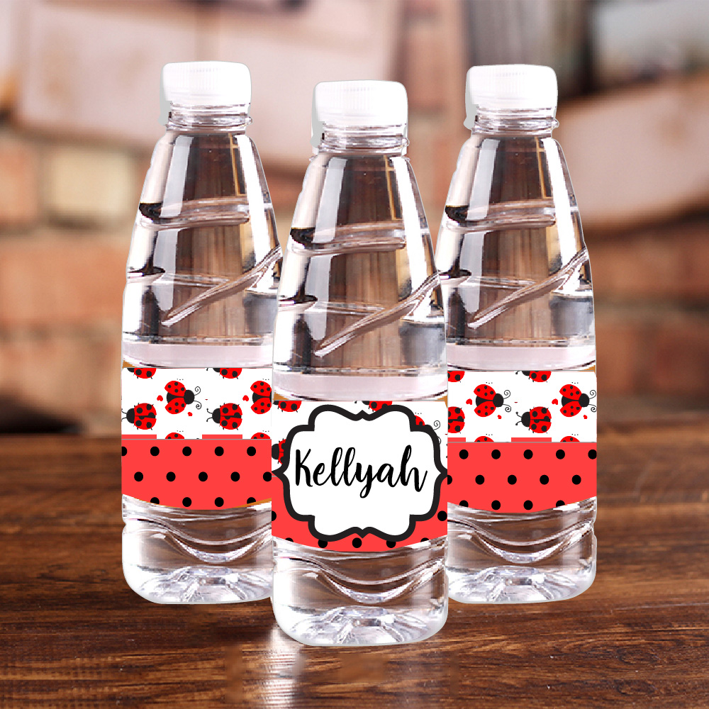 Personalised Ladybug Red Polka - Baby Food Plan recension och pris