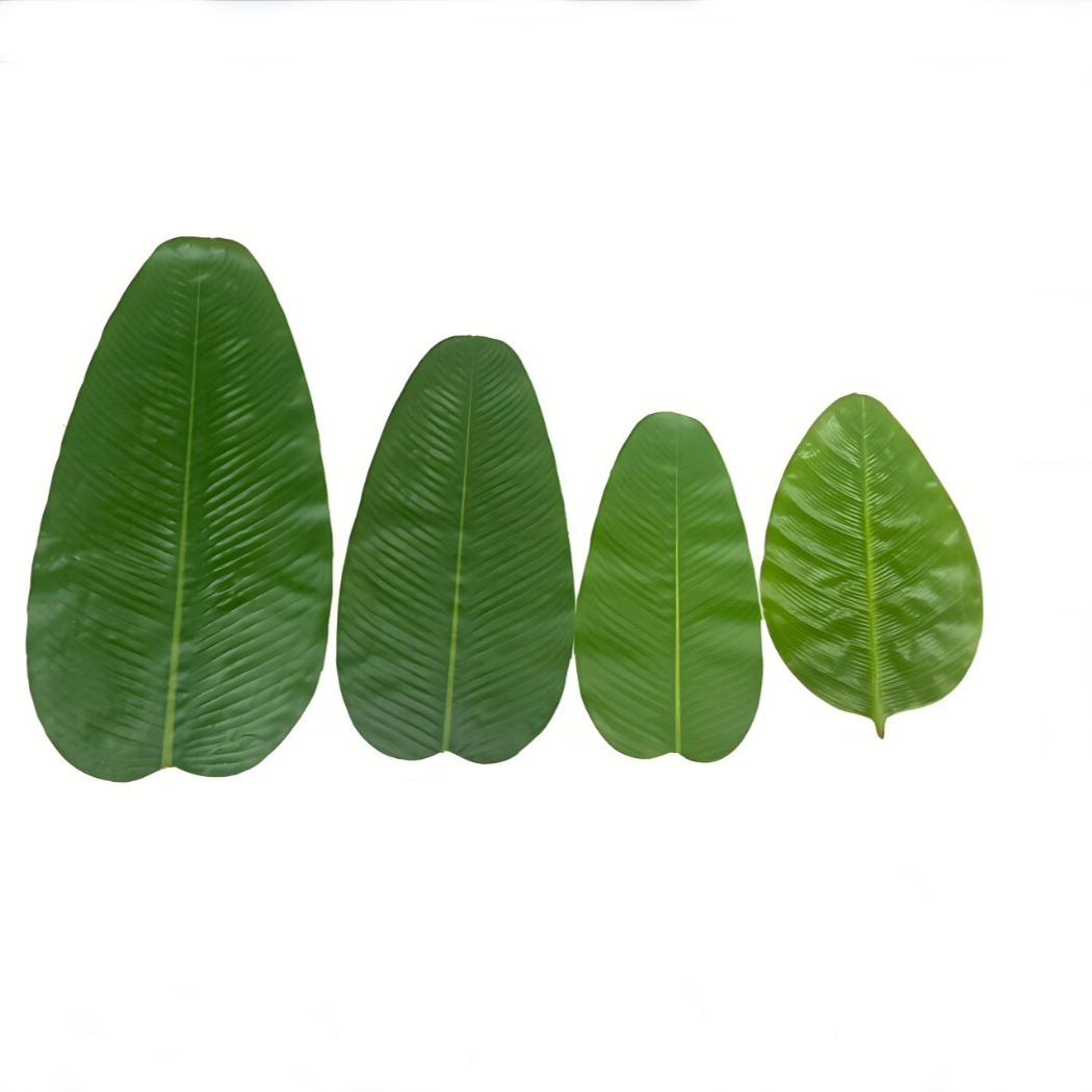 Banana Leaf Dining Table Hotel - Baby Food Banana recension och pris